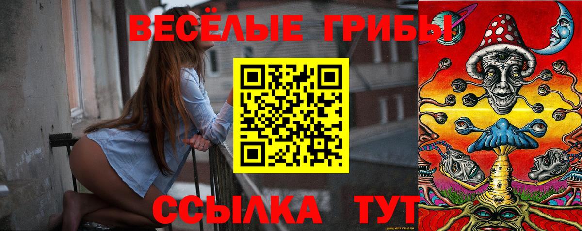 Мирный  Галлюциногенные грибы мицелий  Галлюциногенные грибы мицелий  Вход с VPN 